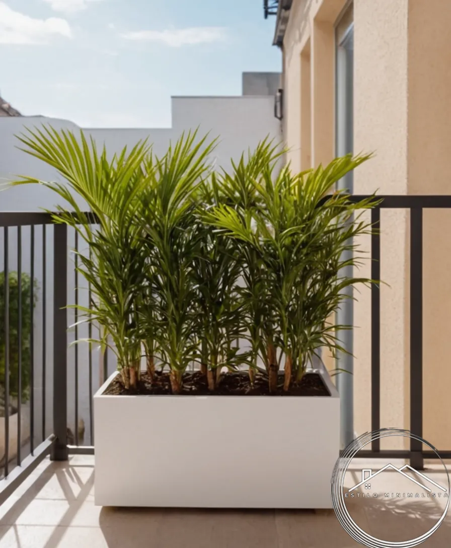 a minimalist outdoor planter on a balcony or patio.