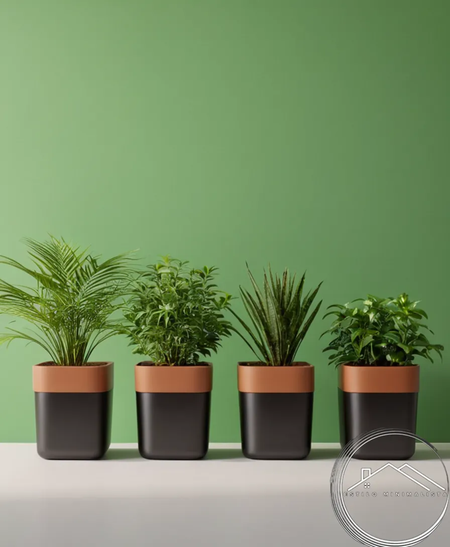 3 minimalist, eco-friendly planters on a simple green background.